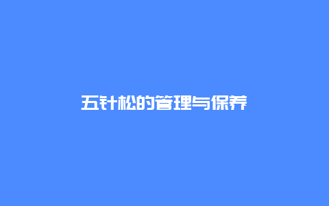 五针松的管理与保养