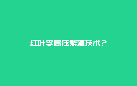 红叶李高压繁殖技术？