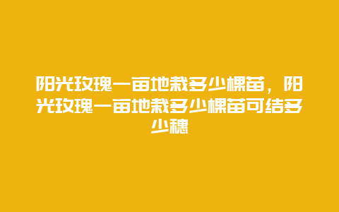 阳光玫瑰一亩地栽多少棵苗，阳光玫瑰一亩地栽多少棵苗可结多少穗