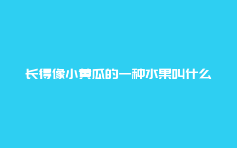 长得像小黄瓜的一种水果叫什么