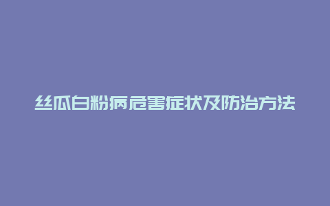 丝瓜白粉病危害症状及防治方法