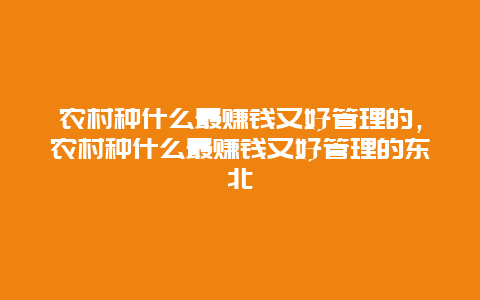 农村种什么最赚钱又好管理的，农村种什么最赚钱又好管理的东北