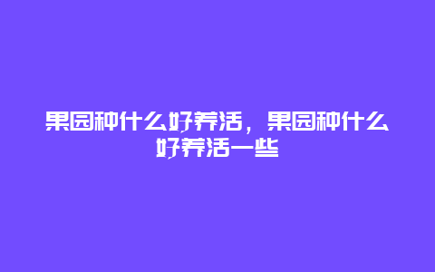 果园种什么好养活，果园种什么好养活一些