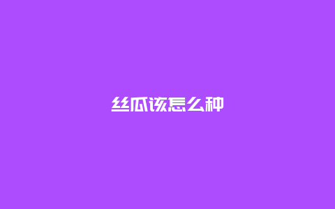 丝瓜该怎么种