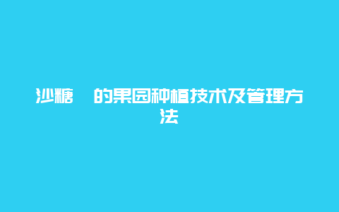 沙糖桔的果园种植技术及管理方法