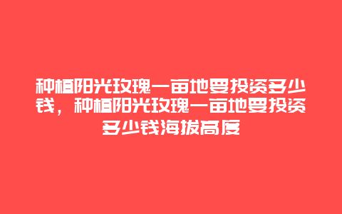 种植阳光玫瑰一亩地要投资多少钱，种植阳光玫瑰一亩地要投资多少钱海拔高度