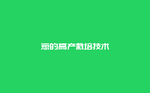 葱的高产栽培技术