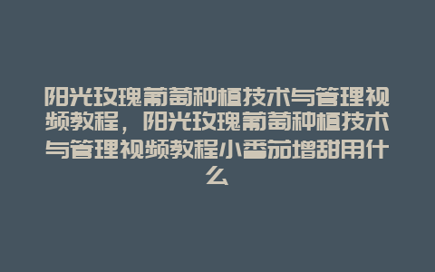 阳光玫瑰葡萄种植技术与管理视频教程，阳光玫瑰葡萄种植技术与管理视频教程小番茄增甜用什么