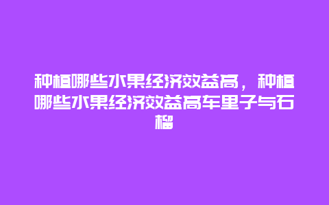 种植哪些水果经济效益高，种植哪些水果经济效益高车里子与石榴