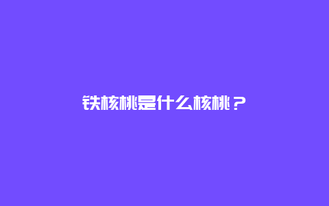 铁核桃是什么核桃？