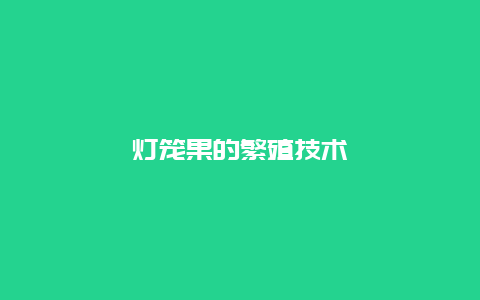 灯笼果的繁殖技术