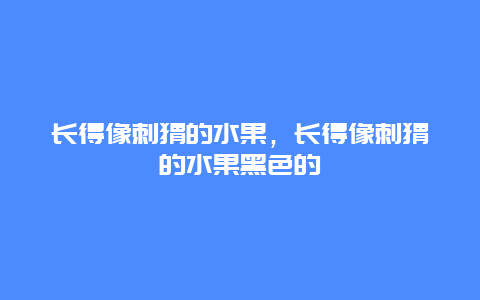 长得像刺猬的水果，长得像刺猬的水果黑色的