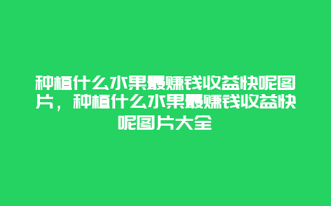 种植什么水果最赚钱收益快呢图片，种植什么水果最赚钱收益快呢图片大全