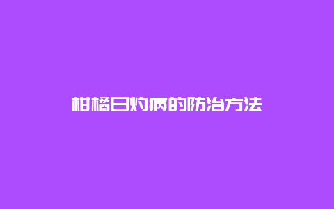 柑橘日灼病的防治方法