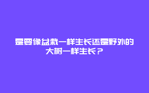 是要像盆栽一样生长还是野外的大树一样生长？