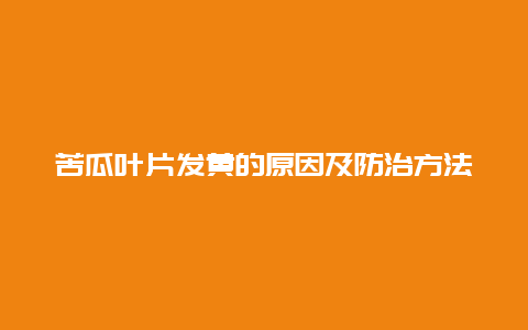 苦瓜叶片发黄的原因及防治方法