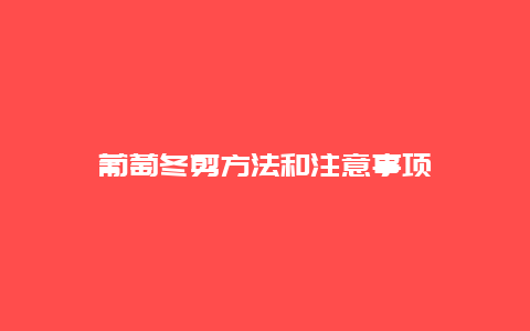 葡萄冬剪方法和注意事项