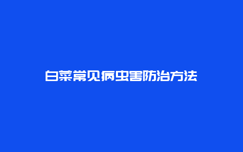 白菜常见病虫害防治方法