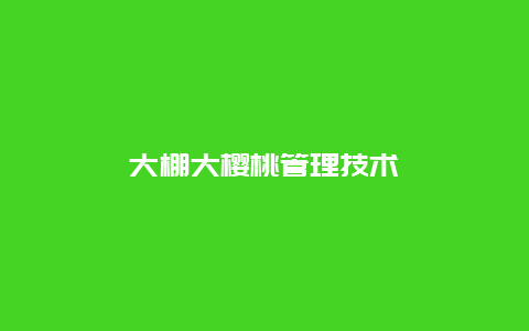 大棚大樱桃管理技术