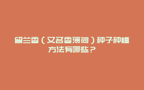 留兰香（又名香薄荷）种子种植方法有哪些？