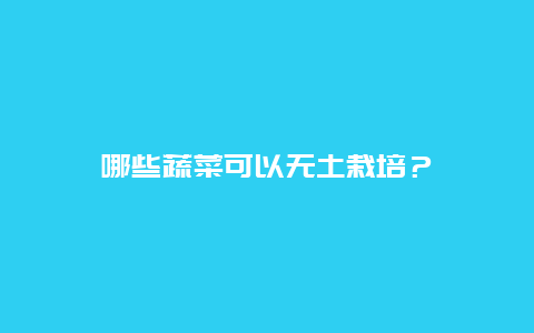 哪些蔬菜可以无土栽培？