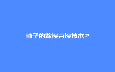 柚子的嫁接芽接技术？