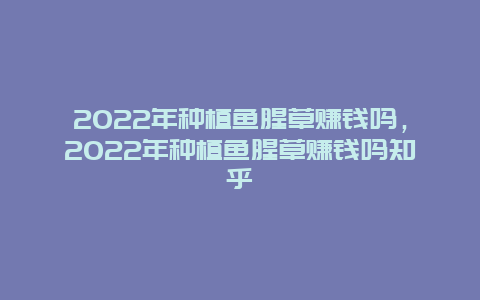 2022年种植鱼腥草赚钱吗，2022年种植鱼腥草赚钱吗知乎