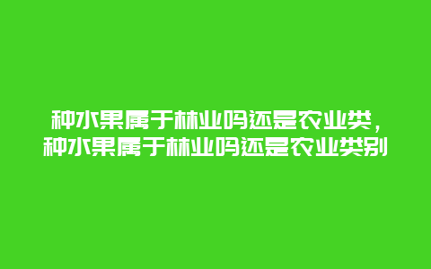 种水果属于林业吗还是农业类，种水果属于林业吗还是农业类别