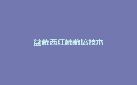 盆栽西红柿栽培技术