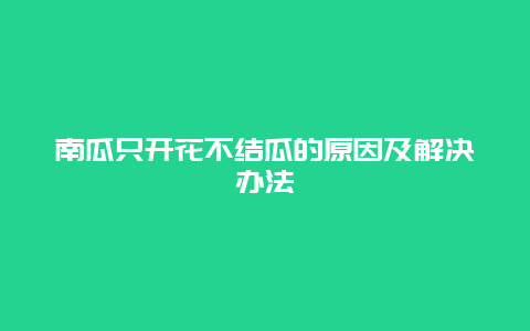 南瓜只开花不结瓜的原因及解决办法