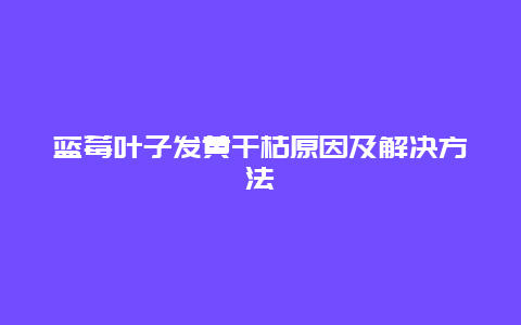 蓝莓叶子发黄干枯原因及解决方法