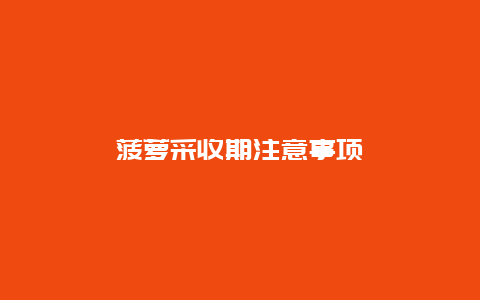 菠萝采收期注意事项