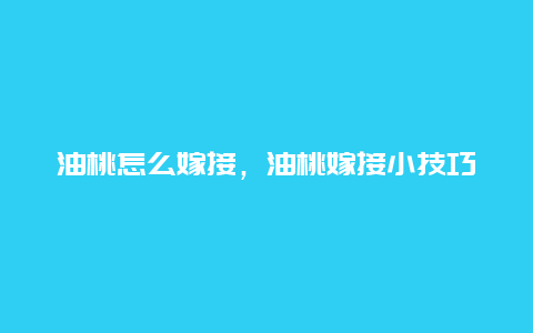 油桃怎么嫁接，油桃嫁接小技巧