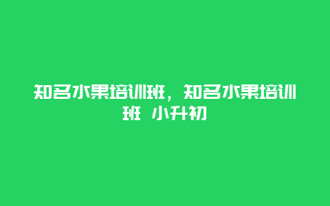 知名水果培训班，知名水果培训班 小升初