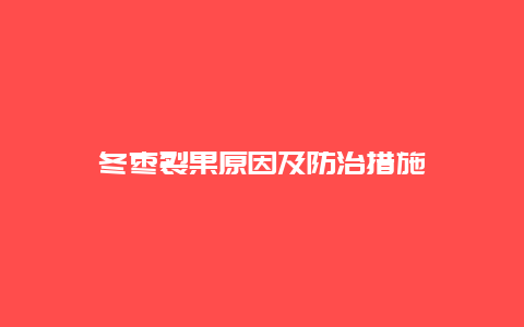 冬枣裂果原因及防治措施