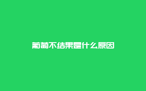 葡萄不结果是什么原因