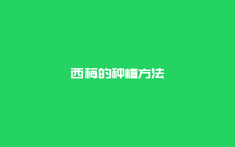 西梅的种植方法