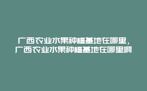 广西农业水果种植基地在哪里，广西农业水果种植基地在哪里啊