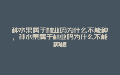 种水果属于林业吗为什么不能种，种水果属于林业吗为什么不能种植