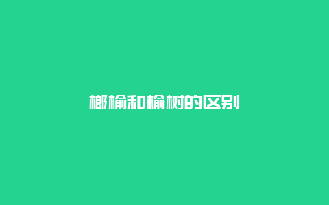 榔榆和榆树的区别