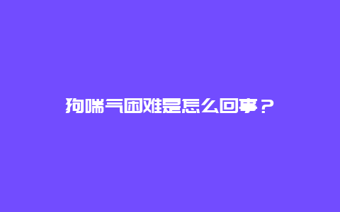 狗喘气困难是怎么回事？