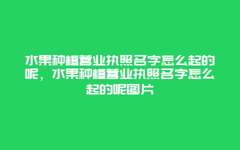 水果种植营业执照名字怎么起的呢，水果种植营业执照名字怎么起的呢图片