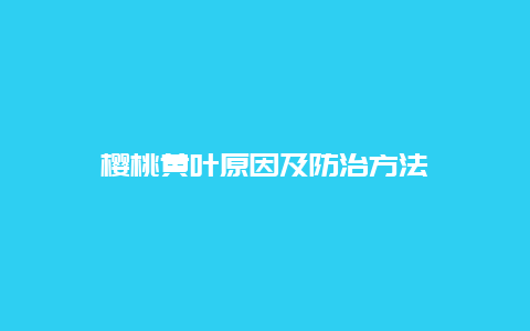 樱桃黄叶原因及防治方法