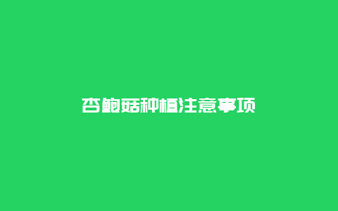 杏鲍菇种植注意事项