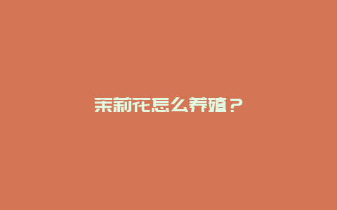 茉莉花怎么养殖？