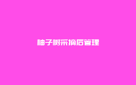 柚子树采摘后管理