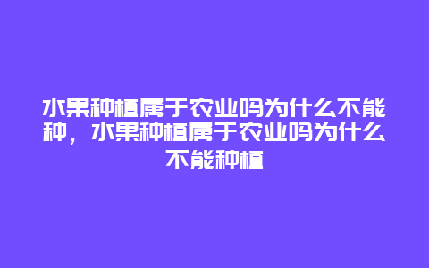 水果种植属于农业吗为什么不能种，水果种植属于农业吗为什么不能种植