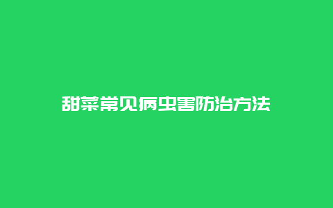 甜菜常见病虫害防治方法