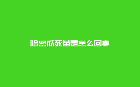 哈密瓜死苗是怎么回事