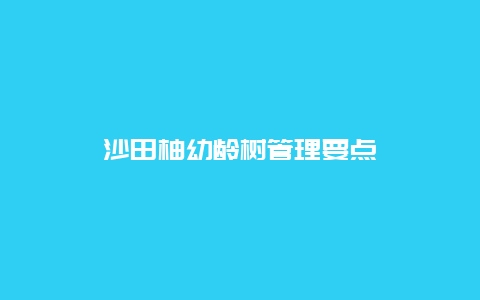 沙田柚幼龄树管理要点